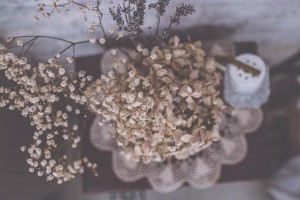 I Cucali | Bed & Breakfast | particolare fiori secchi